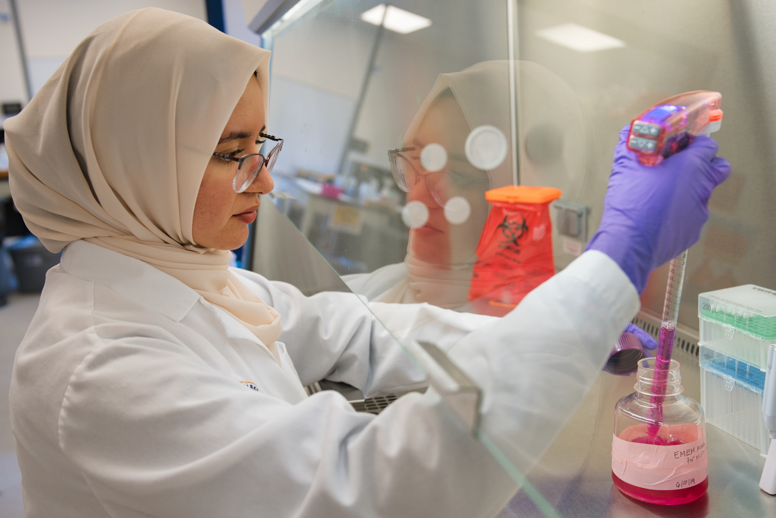 A scientist wearing a beige hijab, glasses, and a white lab coat works in a laboratory hood. She uses a pipette with purple gloves to transfer pink liquid into a container, with lab equipment and a biohazard waste container visible in the background.